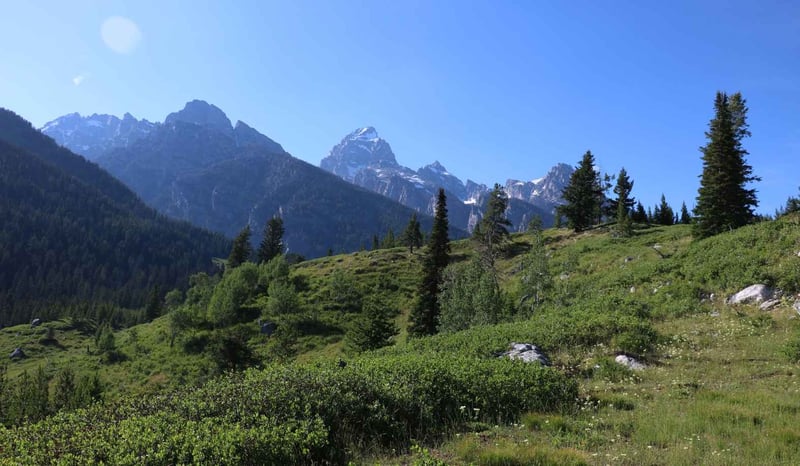 Grand Teton trail with mountain range view
