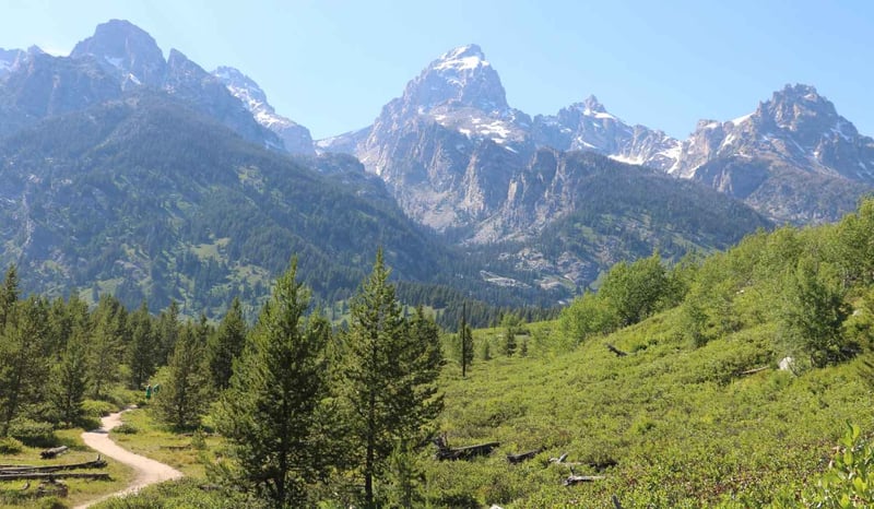 Scenic trail in Grand Teton National Park on sunny day